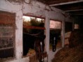 /album/fotogalerie/konik-5-jpg/